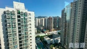 沙田第一城 4期 44座 - 28NTS – 香港北部都會區