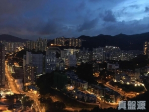 駿景園 2期 8座 - 28NTS – 香港北部都會區