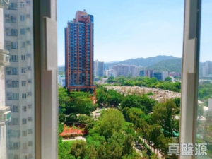 榮福中心 3座 - 28NTS – 香港北部都會區