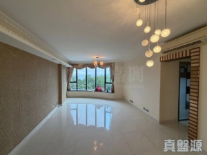 大埔寶馬山 2座 - 28NTS – 香港北部都會區