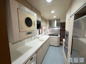 大埔寶馬山 2座 - 28NTS – 香港北部都會區