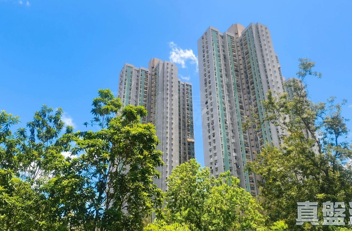 怡雅苑 怡達閣 (D座) - 28NTS – 香港北部都會區