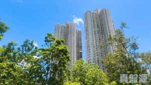 怡雅苑 怡達閣 (D座) - 28NTS – 香港北部都會區