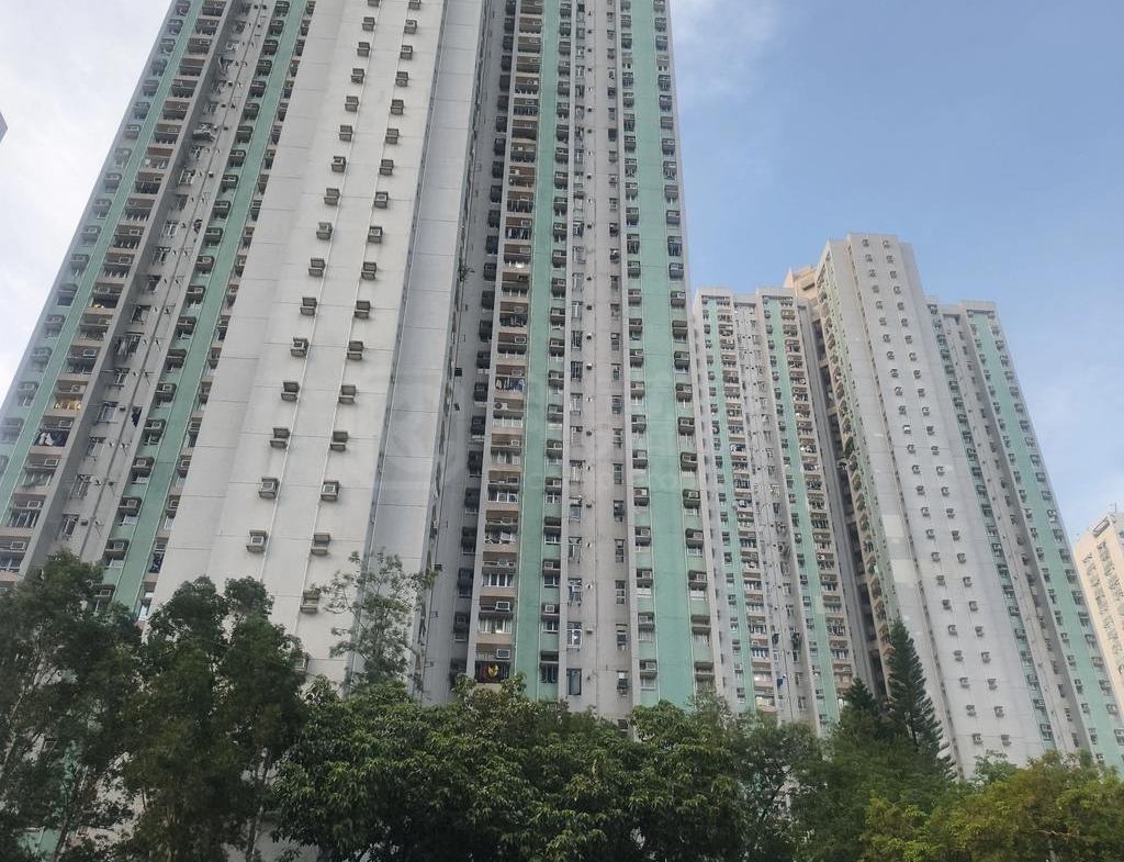 怡雅苑 怡達閣 (D座) - 28NTS – 香港北部都會區