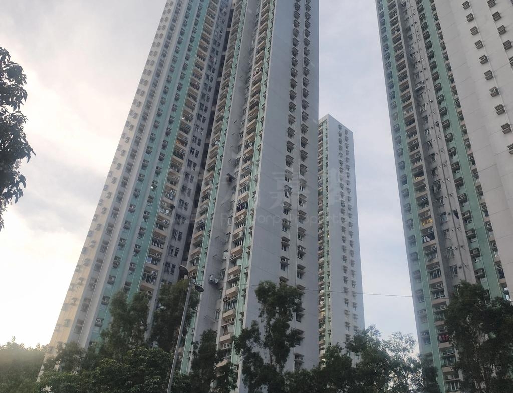 怡雅苑 怡達閣 (D座) - 28NTS – 香港北部都會區