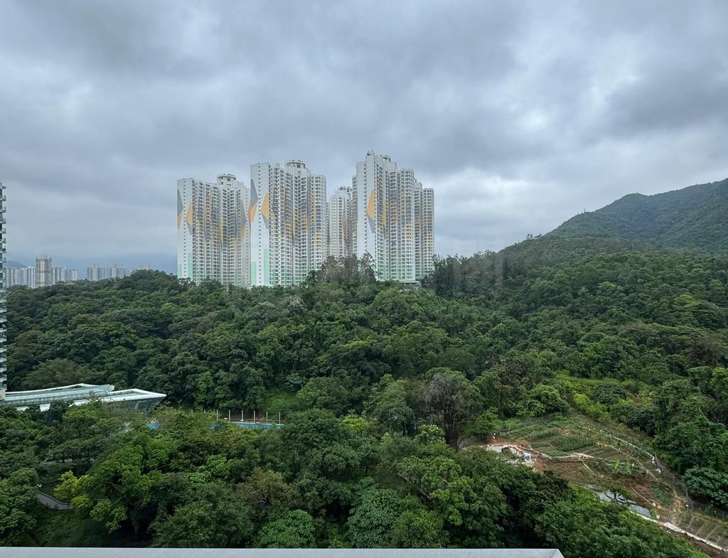 嵐山 1期 8座 - 28NTS – 香港北部都會區