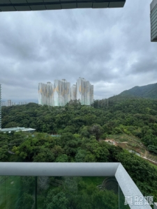 嵐山 1期 8座 - 28NTS – 香港北部都會區
