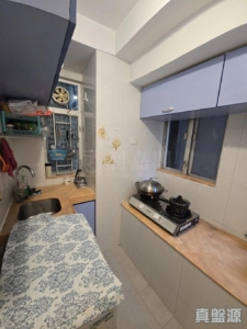 希爾頓中心 A座 - 28NTS – 香港北部都會區