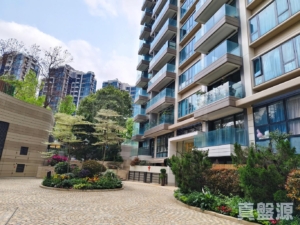 天賦海灣 2期 溋玥 10座 - 28NTS – 香港北部都會區