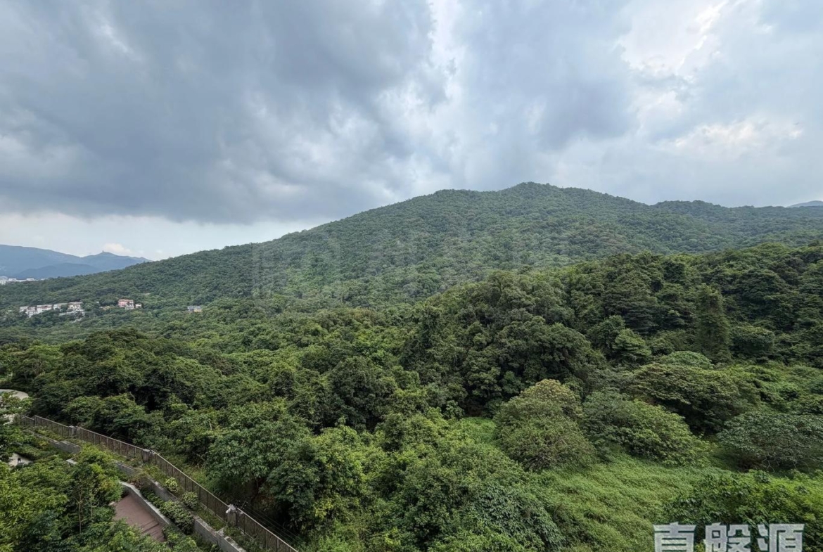 玖瓏山 傲瓏閣 第2座 - 28NTS – 香港北部都會區