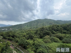 玖瓏山 傲瓏閣 第2座 - 28NTS – 香港北部都會區