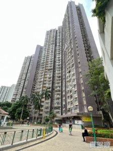 逸雅苑 逸欣閣 (B座) - 28NTS – 香港北部都會區
