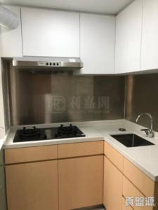 大埔中心 6期 14座 - 28NTS – 香港北部都會區