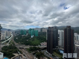 御龍山 5座 - 28NTS – 香港北部都會區