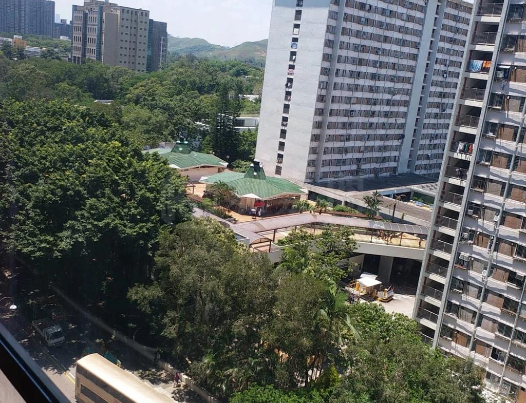 粉嶺名都 百利閣 (2座) - 28NTS – 香港北部都會區