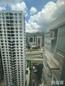 好運中心 松林閣 (A1座) - 28NTS – 香港北部都會區