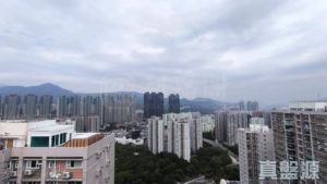 世界花園 紫荊閣 (3座) - 28NTS – 香港北部都會區