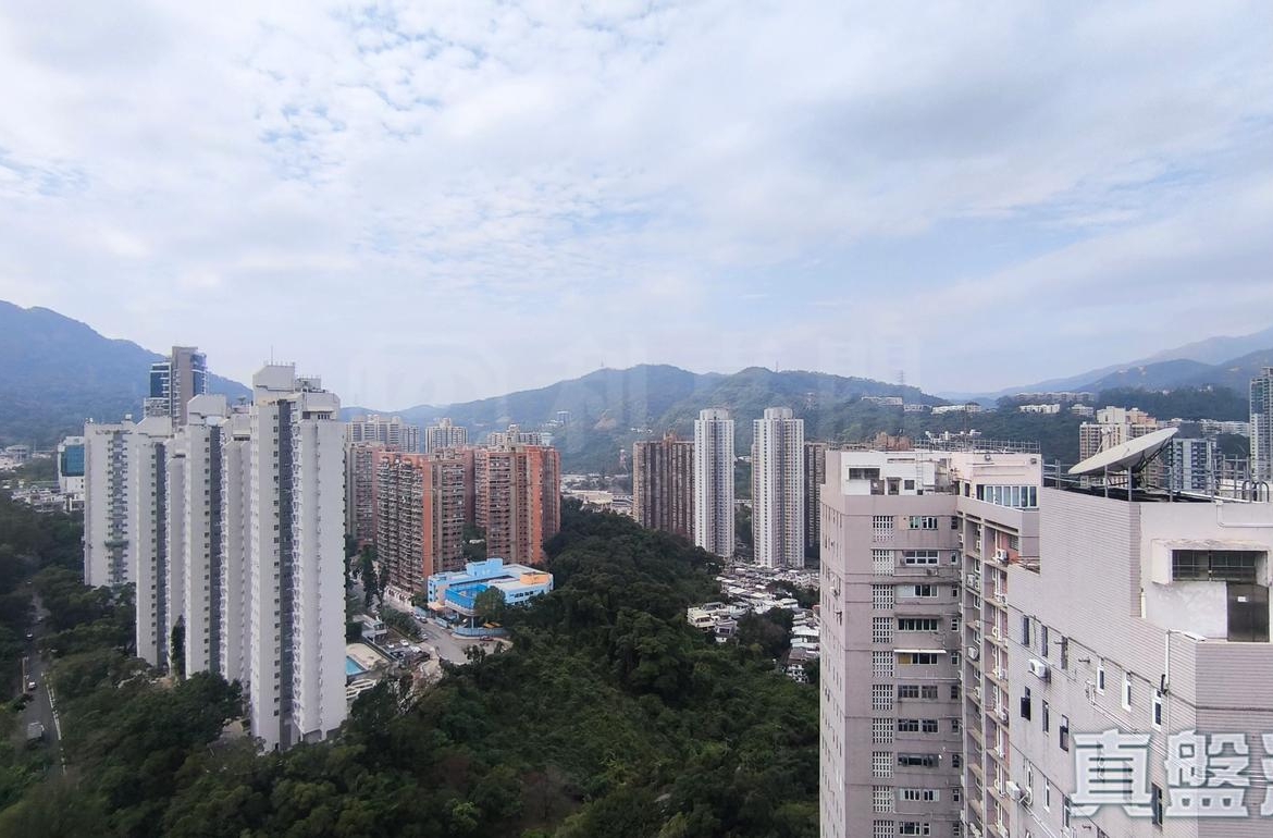 世界花園 紫荊閣 (3座) - 28NTS – 香港北部都會區