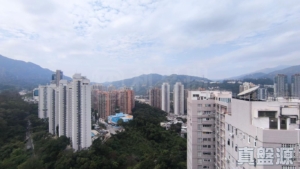 世界花園 紫荊閣 (3座) - 28NTS – 香港北部都會區
