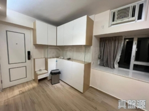 沙田第一城 5期 46座 - 28NTS – 香港北部都會區