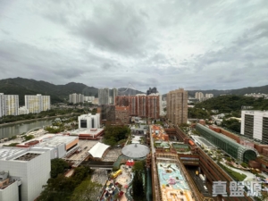 沙田中心 嘉寧大廈 (F座) - 28NTS – 香港北部都會區