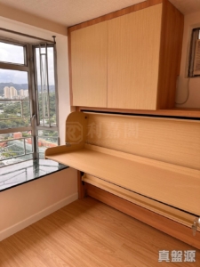 沙田中心 嘉寧大廈 (F座) - 28NTS – 香港北部都會區