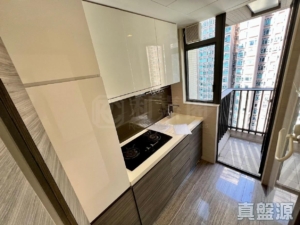 逸峯 3座 - 28NTS – 香港北部都會區