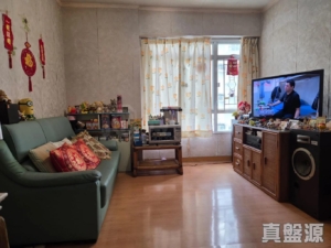 大埔中心 6期 15座 - 28NTS – 香港北部都會區