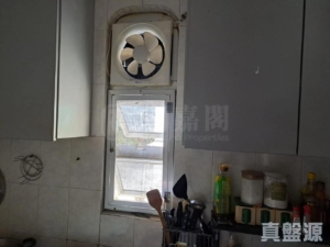 粉嶺花園 16座 - 28NTS – 香港北部都會區