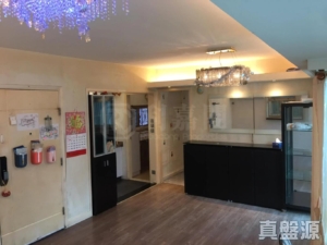 新峰花園 3期 御峰苑 19座 - 28NTS – 香港北部都會區