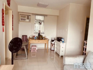 粉嶺中心 1期 A座 - 28NTS – 香港北部都會區