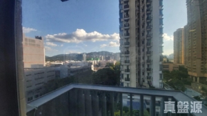 逸峯 2座 - 28NTS – 香港北部都會區