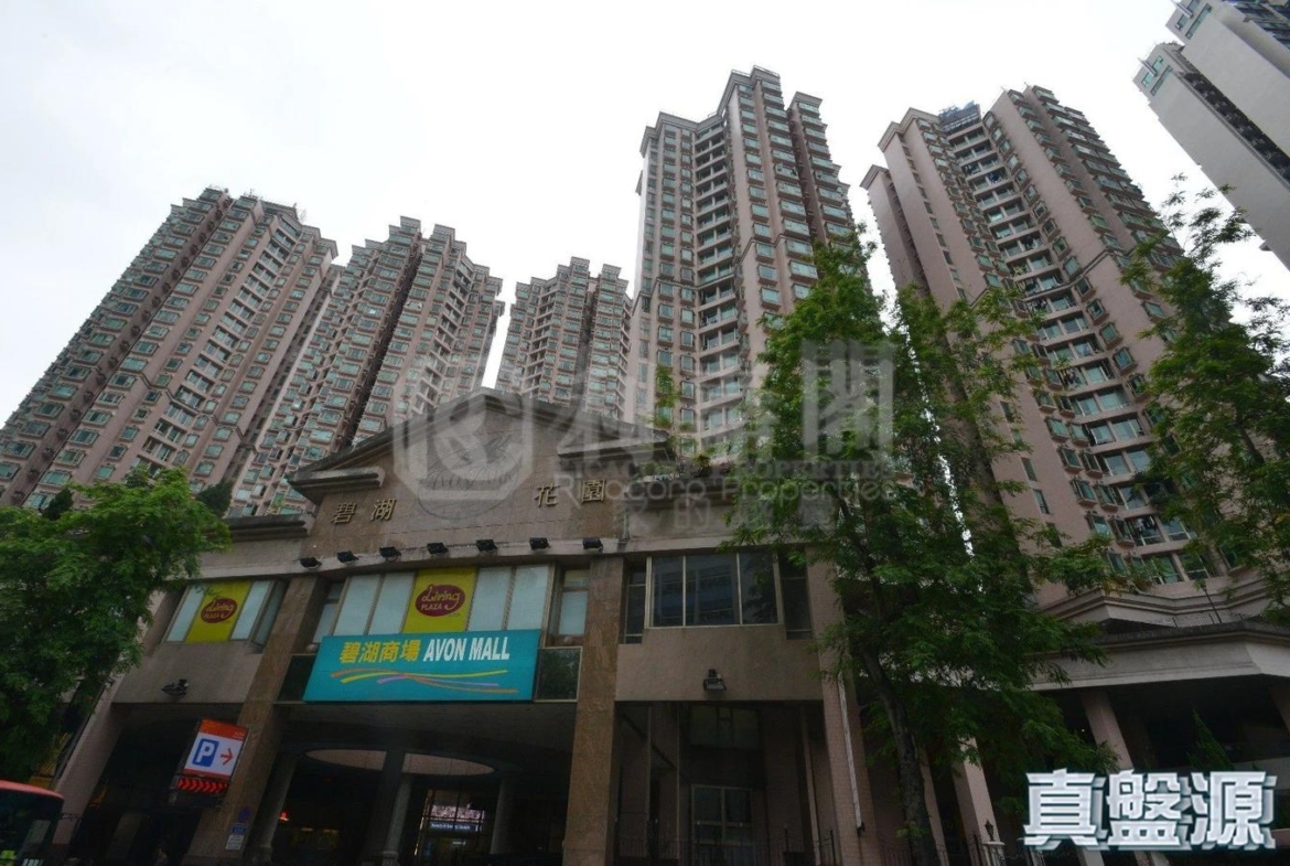 碧湖花園 6座 - 28NTS – 香港北部都會區