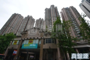 碧湖花園 6座 - 28NTS – 香港北部都會區