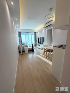 晉名峰 D座 - 28NTS – 香港北部都會區