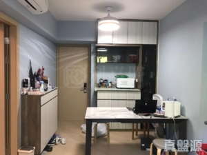 天鑽 8座 - 28NTS – 香港北部都會區