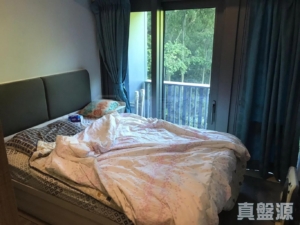 天鑽 8座 - 28NTS – 香港北部都會區