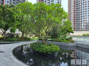 星凱．堤岸 3座 - 28NTS – 香港北部都會區