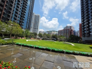 星凱．堤岸 3座 - 28NTS – 香港北部都會區