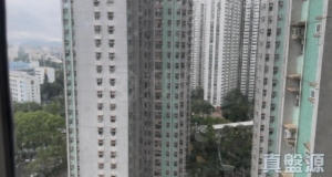 怡雅苑 怡厚閣 (C座) - 28NTS – 香港北部都會區