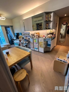 柏傲莊 2期 5座 (5B) - 28NTS – 香港北部都會區