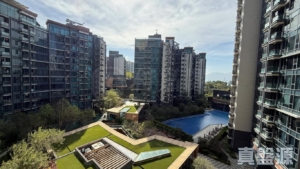 滿名山 滿庭 5座 - 28NTS – 香港北部都會區