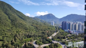 映灣園 3期 悅濤軒 11座 - 28NTS – 香港北部都會區