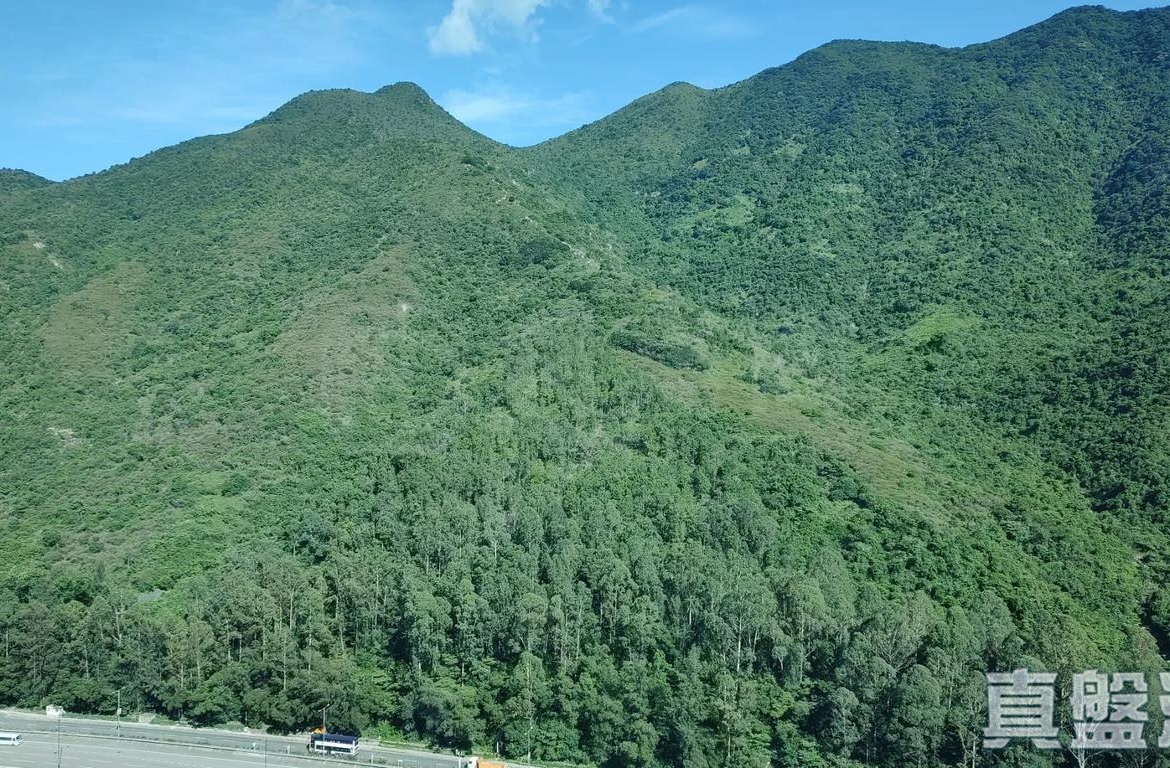 映灣園 3期 悅濤軒 11座 - 28NTS – 香港北部都會區