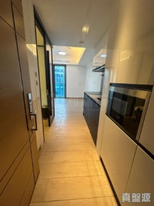 峻巒 2A期 PARK YOHO GENOVA 16A座 - 28NTS – 香港北部都會區