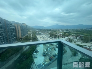 峻巒 3期 PARK YOHO BOLOGNA 8A座 - 28NTS – 香港北部都會區