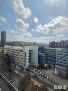 好順利大廈 1座 - 28NTS – 香港北部都會區