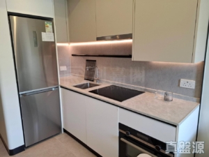 NOVO LAND 1A期 Elverum 1座 - 28NTS – 香港北部都會區