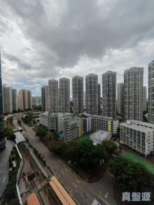 YOHO WEST 2期 YOHO WEST PARKSIDE 1B座 - 28NTS – 香港北部都會區