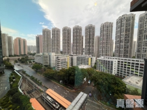 YOHO WEST 2期 YOHO WEST PARKSIDE 1B座 - 28NTS – 香港北部都會區
